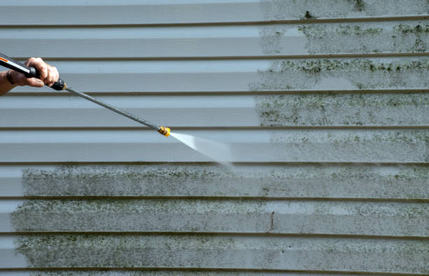 Best Gutter Cleaning  in Jackson, GA